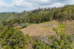 View 38