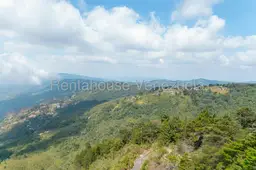 View 39