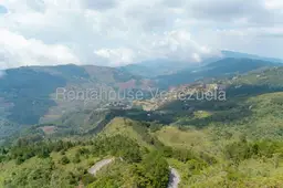 View 40