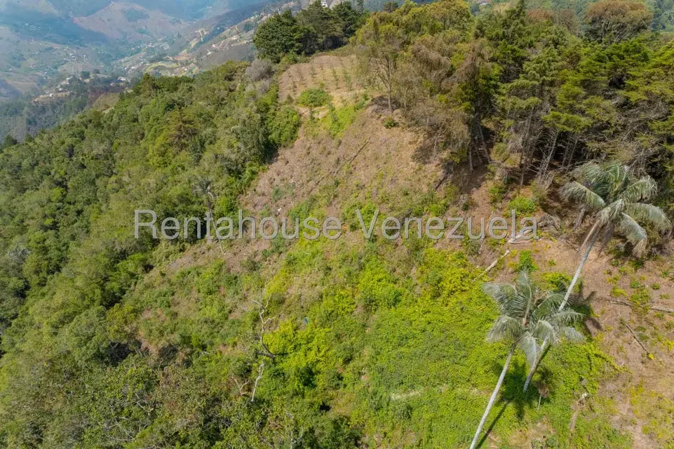 Casa (Hacienda) en Venta en El Junquito, Distrito Metropolitano - 43
