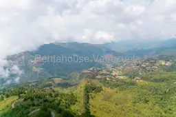 View 45