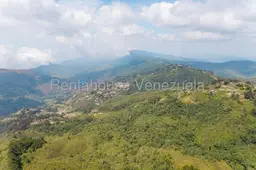 View 46