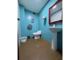 Vista 5