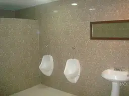 Vista 11