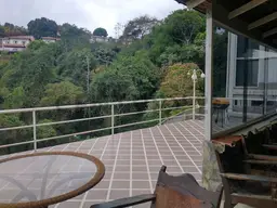 View 23