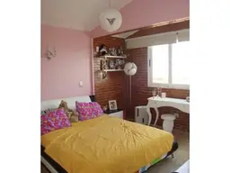 Vista 19