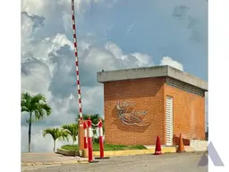 Vista 37