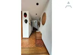 Vista 15