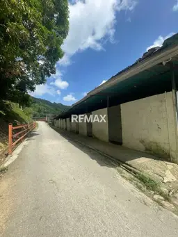 Vista 5