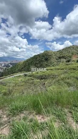 Vista 5