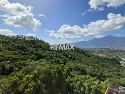 View 4