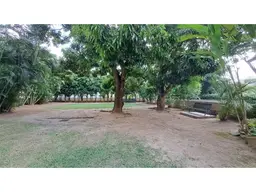 Vista 24