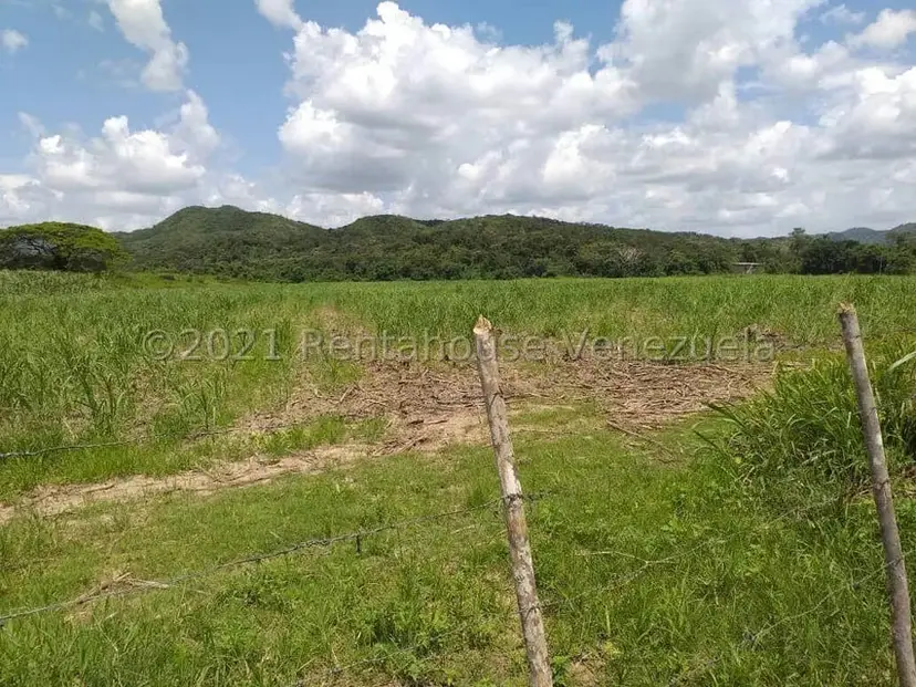 Terreno (Finca) en Venta en La Campina, Lara