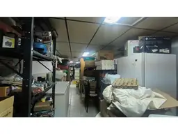 Vista 16