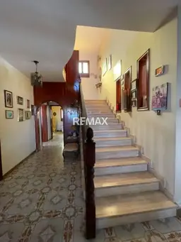Vista 20