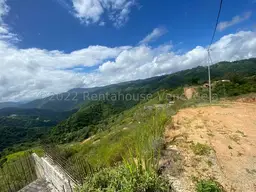 Vista 5