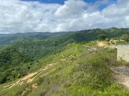 Vista 7