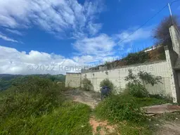 Vista 9