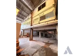 Vista 19