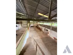Vista 7