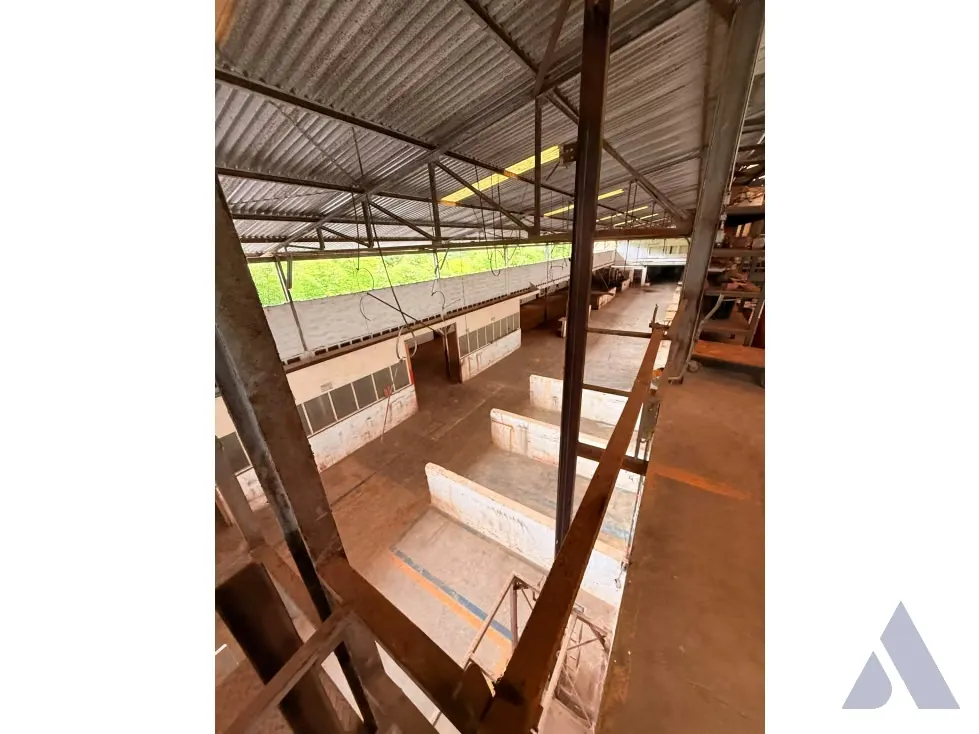 Vendo galpon 6000m2 Los Anaucos 6672 - 10