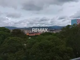 Vista 14