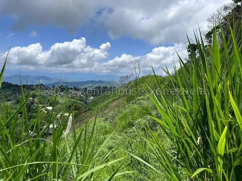Terreno (Residencial) en Venta en El Limon, Miranda
