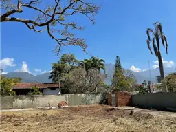 View 1