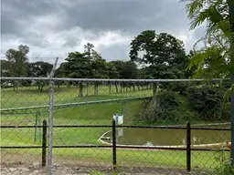 View 8