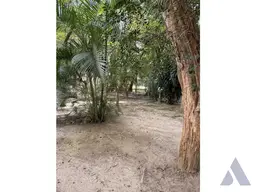 View 22
