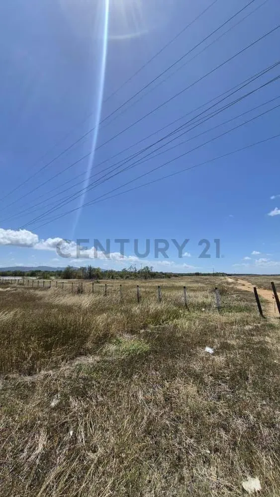 Venta de Terreno - 7