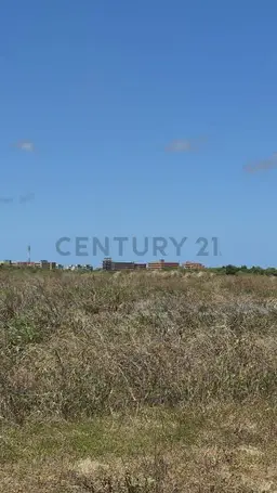 Vista 9