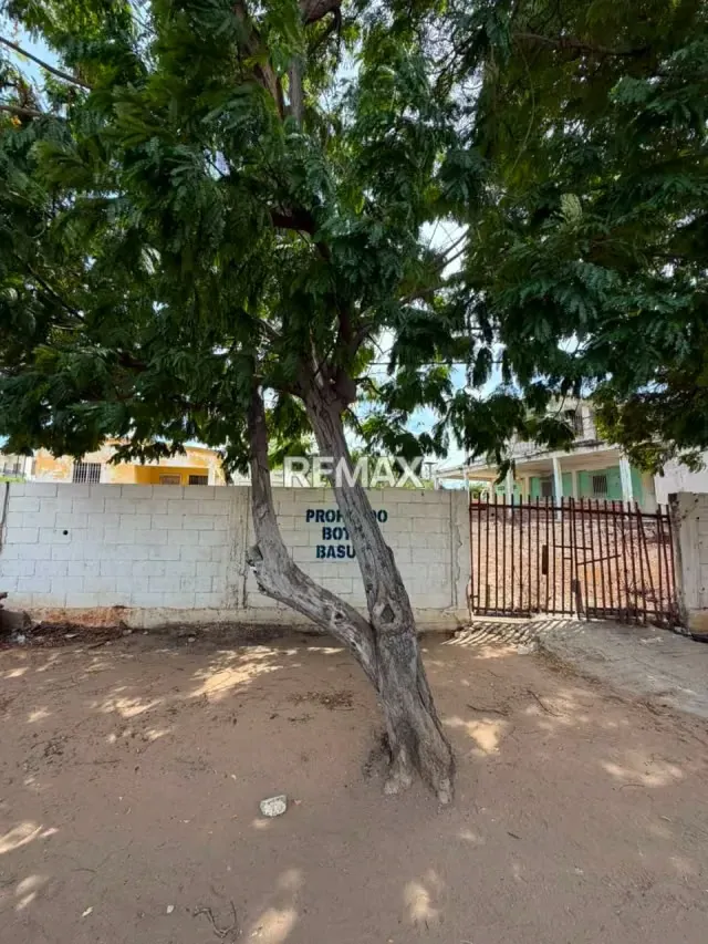 Terreno en Venta Urb. Altos de Jalisco - 8