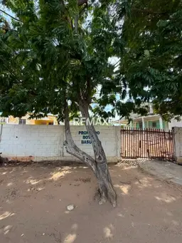 View 8