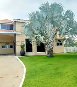 View 18