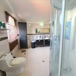 View 6