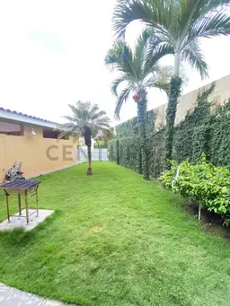 View 7