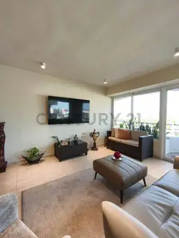Vista 6