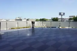 Vista 5