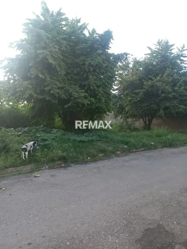 TERRENO EN VENTA, SECTOR LOS TAMARINDOS, MUNICIPIO SAN DIEGO, ESTADO CARABOBO - 5