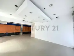 Vista 21