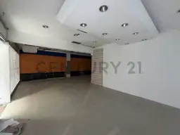 Vista 25
