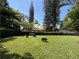 View 1