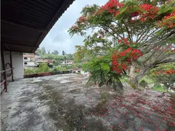 Vista 12