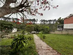 Vista 4