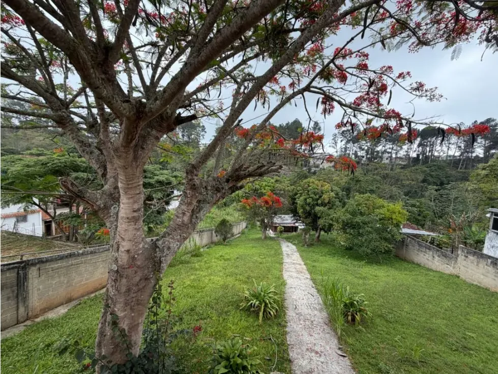 Vendo terreno c/ anexo 1480m2 Club Hípico Los Cerritos 9533 - 7