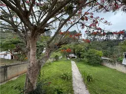 Vista 7