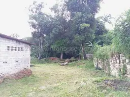 View 11