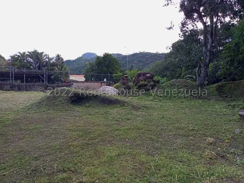 Terreno (Comercial) en Venta en El Limon, Aragua - 13