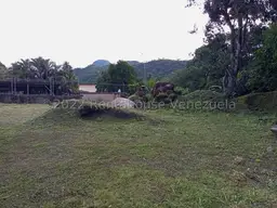 View 13